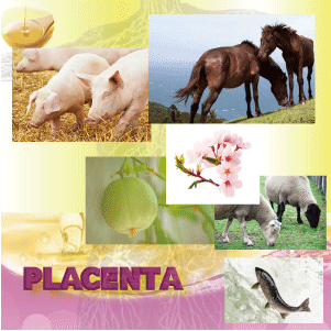 Photo image of placenta care products for aging care.